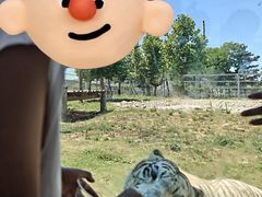 -西霞口神雕山野生动物世界