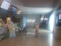 -汉阳天河电影城(王家湾店)