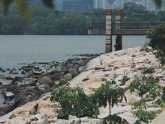 -深圳湾公园(南山区)