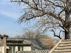 -后海16号·北京私房菜