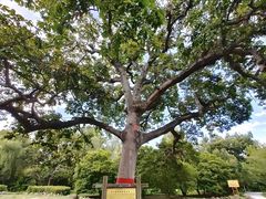 -福建鲤鱼洲酒店