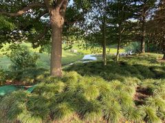 -银涛高尔夫练习场(徐泾店)