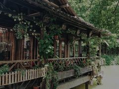 -乌镇东栅景区