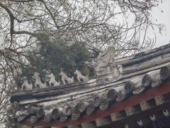 -白云观