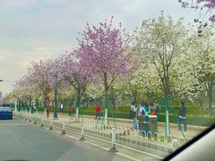 -花都广场