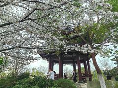 -沙湖公园