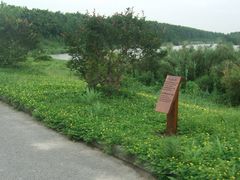 -大湾区中央湿地公园