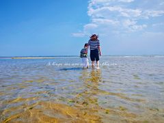 -老虎石海上公园