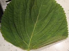 -韩时烤肉(丰科万达广场店)