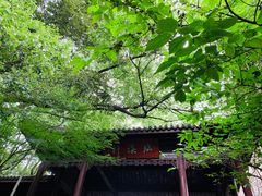 -杭州半山国家森林公园