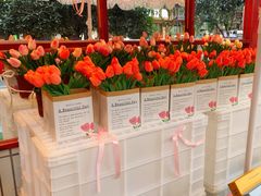 -李常在重庆火锅(合川总店)