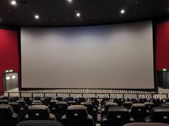 -SFC上影百联影城(八佰伴IMAX店)