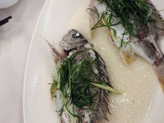 -鹿鸣酒家(越秀店)