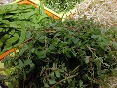 -财主·海鲜锅贴