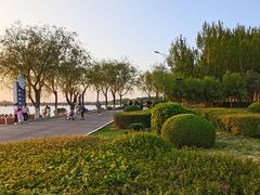 -丁香湖公园
