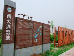 -南大港湿地风景区