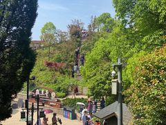 -瑞安圣井山景区