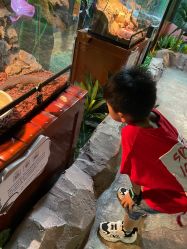 -酷嗒动物文化乐园(cutezoo西溪乐天城店)