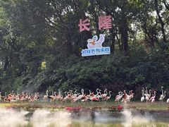 -广州长隆飞鸟乐园