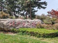 -洨河生态公园