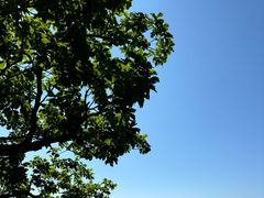 -五女峰国家森林公园