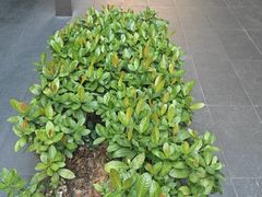 -阿伟海鲜楼·福建菜(涵江店)