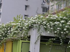 -红星桥(地铁站)