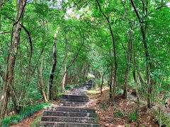-紫金山山顶公园