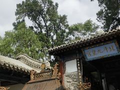 -玉泉观