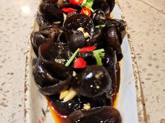 凉拌爽口黑木耳-点都德(聚福楼店)