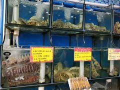 -蚝专家(北滘店)