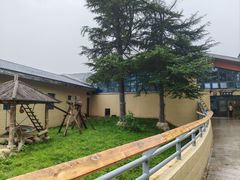 -石家庄市动物园