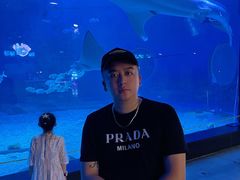 -烟台海昌鲸鲨海洋公园