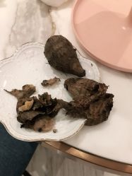 点击看大图 -苑苑vbeauty科技美容SPA