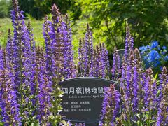 -国家植物园南园