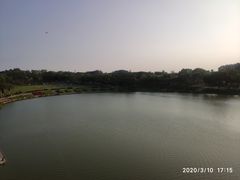 -东莞植物园