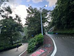 -火炉山森林公园