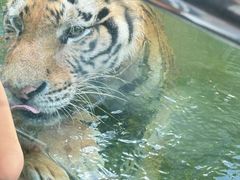 -深圳野生动物园