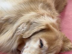 -和它·交个朋友·狗咖猫咖(爱琴海店)