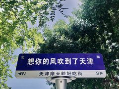-天津之眼摩天轮
