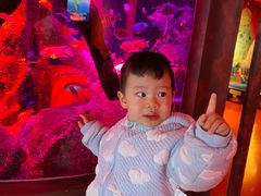 -沈阳海洋探索中心