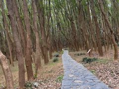 -同里国家湿地公园