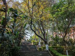 -厦门大学(思明校区)