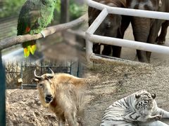 -大连森林动物园