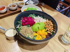 芥子酱羽翼甘蓝沙拉-小大董·烤鸭(五棵松店)