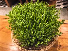 -廣順興(六里桥店)