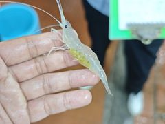 -沙头涌渔栏海鲜餐厅