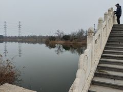 -大港湿地公园