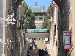 -武汉大学-樱园
