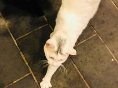 -张记牛肉面馆(天津路店)